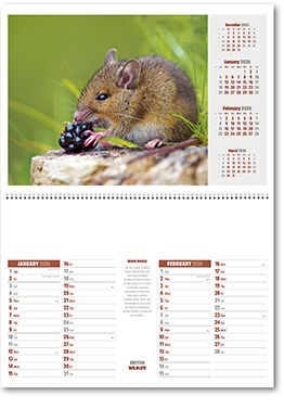 British Wildlife Central Spiral